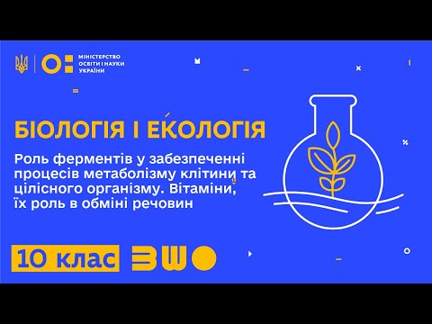 Видео: 10 клас. Біологія і екологія. Роль ферментів у забезпеченні процесів метаболізму клітини й організму