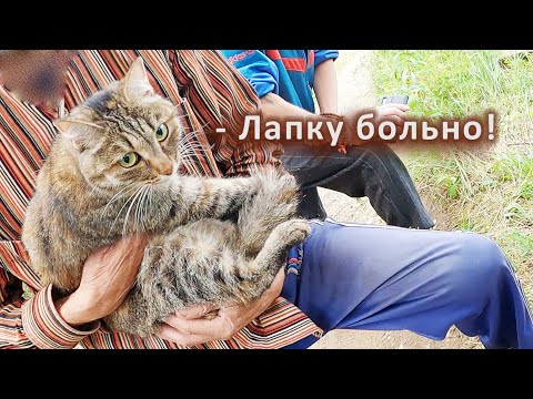 Видео: Маша пострадала