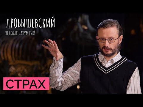 Видео: Как эволюция создавала страх // Дробышевский. Человек разумный