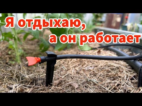 Видео: КАПЕЛЬНЫЙ ПОЛИВ от ёмкости. Как всё установлено у нас