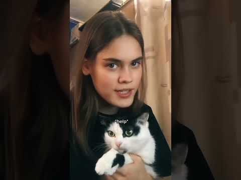 Видео: ~|×Подборка смешных видосов из тт 🍀| Аня Анемия | 12 минут веселья! ×|~