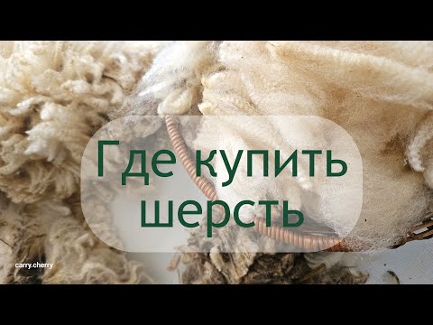 Видео: Где купить шерсть? Оксфорд даун - ООО Кроноборг (Карелия)