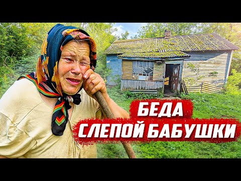 Видео: Нашёл в заброшенной деревне больную бабушку!  | Орловская обл, Колпнянский р/н д. Густые Тычинки