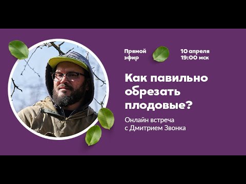 Видео: Как обрезать плодовые? Онлайн встреча с Дмитрием Звонка