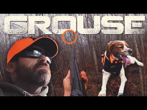 Видео: ОХОТА НА ДИКИХ ГРУШЕЙ В СЕВЕРНОМ ВИСКОНСИНЕ с Энди Холслоу