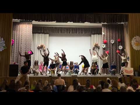 Видео: Хомяки 1 отряд 4 летняя ✨