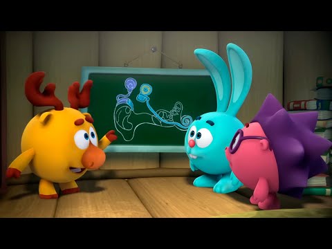 Видео: Смешарики. Пинкод. Органы чувств. Лучшие серии