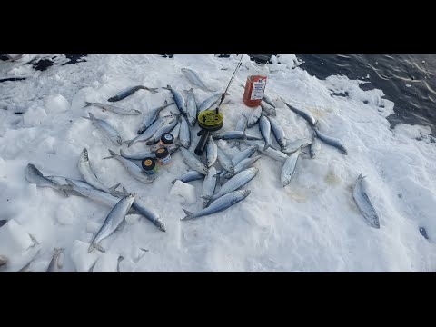 Видео: Рыбалка на озере Инголь  Заключительная серия