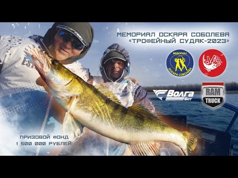 Видео: Трофейный судак 2023 г