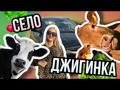 Видео: СЕЛО ДЖИГИНКА. НЕДВИЖИМОСТЬ У МОРЯ.