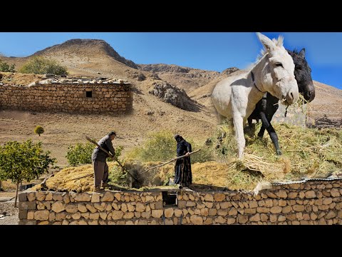 Видео: Секрет кочевой жизни | Снос крыши горного дома 🏚 Мужество кочевников