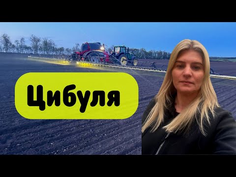 Видео: Вирощування цибулі. Посів та внесення грунтового гербіциду