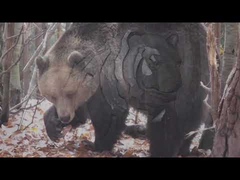 Видео: Старият ловец разказва- Боруда 4 част