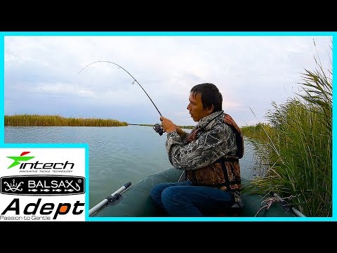 Видео: Поехал ловить окуня, а поймал... 😵 Рыбалка на озере Чаны.  Ловля судака на джиг с лодки.