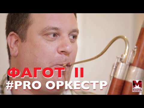 Видео: PRO Оркестр. Фагот. 2 часть