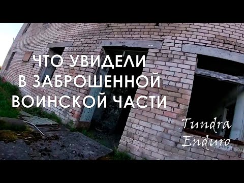 Видео: НЕОЖИДАННАЯ ВСТРЕЧА В ЗАБРОШКЕ В ТУНДРЕ