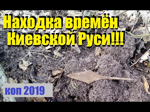 Видео: КОП 2019.Находка времён Киевской Руси.Поиск монет.