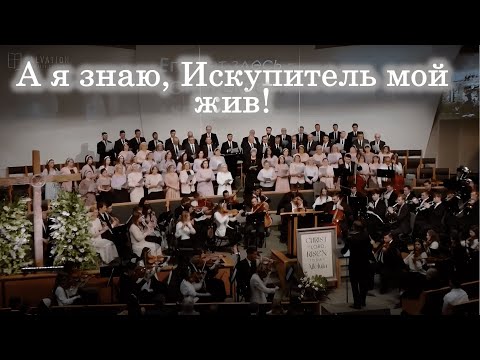 Видео: Свершилась казнь || Симфонический оркестр и хор