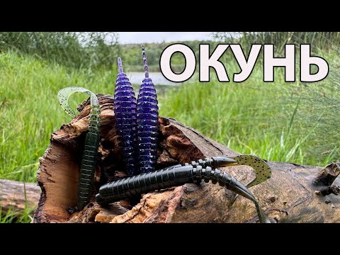 Видео: РИБАЛКА В КУШИРЯХ  ПРИМАНКА ДЛЯ ОКУНЯ СПІНІНГ ДЛЯ ДЖИГА