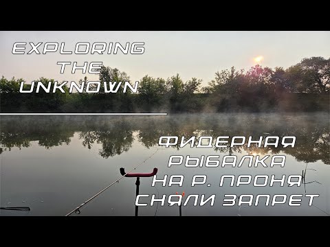 Видео: Ночевка и фидерная рыбалка на р. Проня | Сняли запрет и...