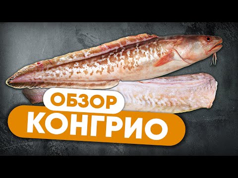 Видео: Что ты знаешь о рыбе КОНГРИО?  Обзор креветочной рыбы от шеф-повара Сергея Лигая