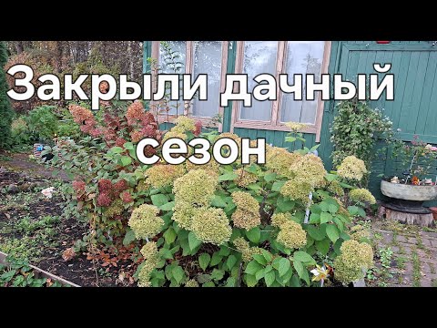 Видео: Закрыли дачный сезон. Последние работы.  Посадка луковичных цветов.