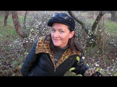 Видео: Лайфхак от Тёти Кати №8: Как Избавиться от Навязчивых Мыслей.