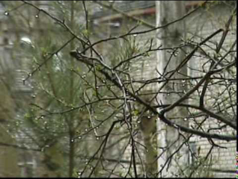 Видео: Амурск