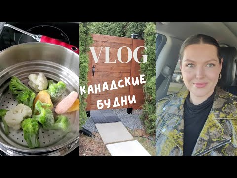 Видео: 🇨🇦Канадские будни.Завершили работы с забором, визит к врачу, нам не дали педиатра, ищем новую машину