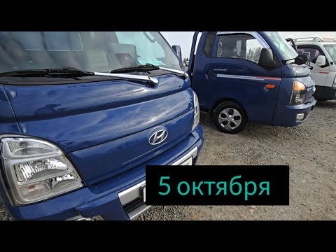 Видео: Авторынок Бишкека на 5 октября. Портеры