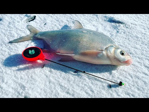 Видео: НАКОСИЛИ КРУПНОЙ ВОБЛЫ , ПОЙМАЛИ ЛЕЩА и СУДАКА , РЫБАЛКА на КАПЧАГАЕ