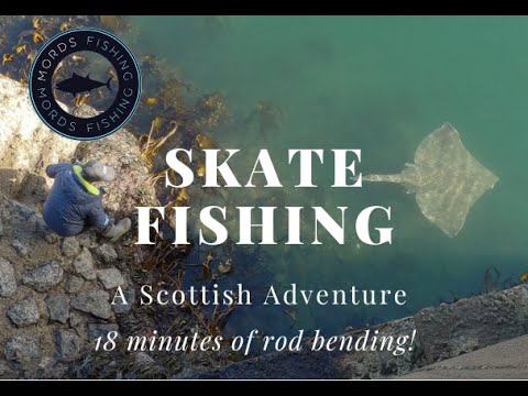 Видео: Большая сессия катания на коньках в Шотландии, береговая рыбалка для гигантов