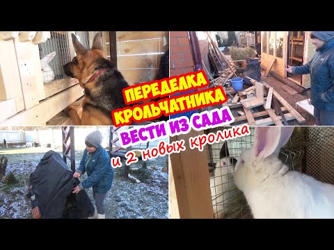 Видео: Еще ДВА кролика 🐇🐇 Глобальная ПЕРЕДЕЛКА в крольчатнике! Морозы и розы🌹ВЛОГ.