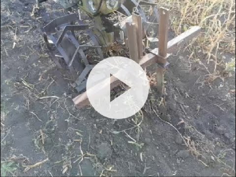 Видео: Приспособление для копки чеснока мотоблоком