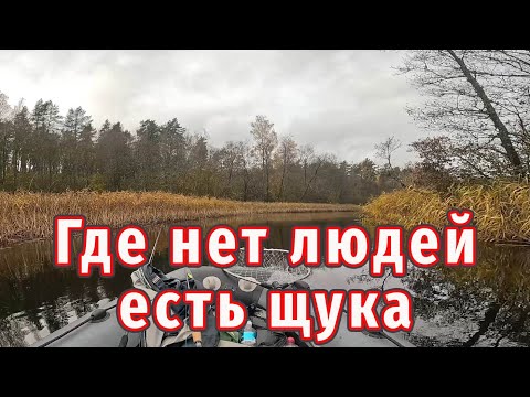 Видео: Привезли на Новое Место где НЕТ Людей и ПОЛНО ЩУКИ!