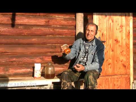 Видео: Облепиха: чудо-ягода! Сбор, хранение и заготовка на зиму. Рецепты.