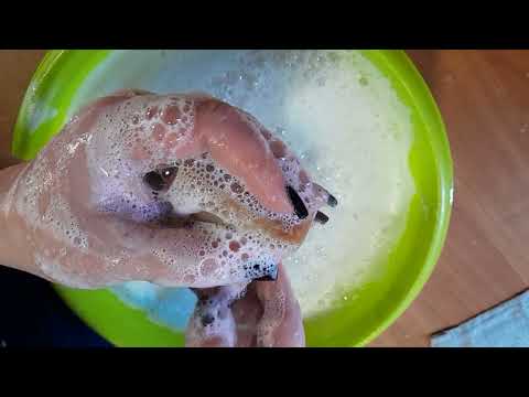 Видео: 🧼🧼🧼ароматное трио. экомир, сабын и технотара🧼🧼🧼