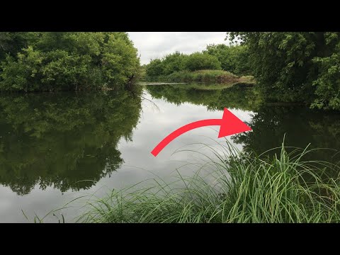 Видео: ПОИСК СОМА НА РЕКЕ, СОМОВЬИ ЯМЫ, ЛОВЛЯ СОМА С БЕРЕГА НА МАЛЫХ РЕКАХ, СОМ В ОРЕНБУРЖЬЕ НА р.Б.Кинель