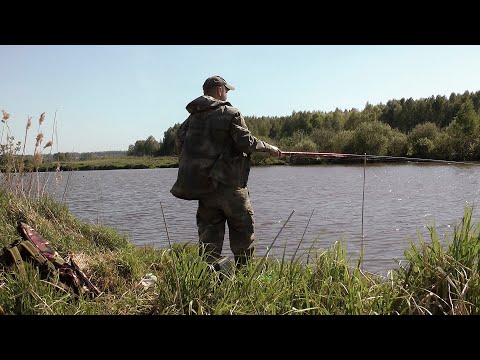 Видео: Рыбалка как в детстве | Карасик на поплавок | Поклёвки крупным планом