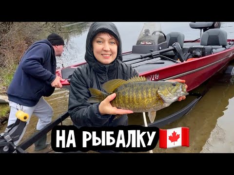 Видео: Весенняя рыбалка в Канаде🇨🇦или безрыбалка // обжигаем чугунный казан в костре
