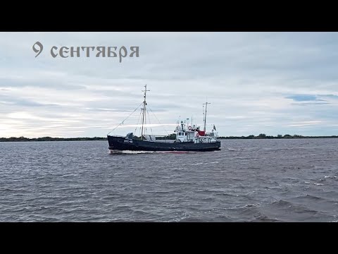 Видео: 9 сентября "Обратно в губу"