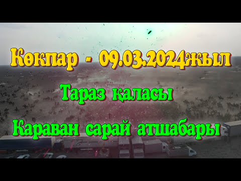Видео: Тараз қаласы Қоралас Айтбаев Есет мырзаның немерелерінің сүндет  той көкпары 09.03.2024жыл