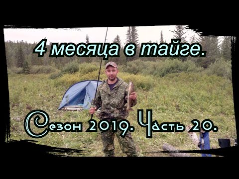 Видео: 4 Месяца в Тайге. 20 серия. Варенье, Грибы, Охота, Переброска