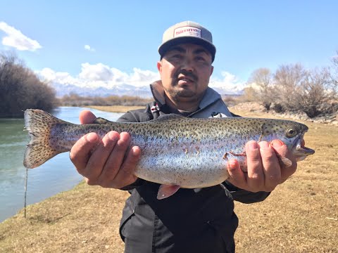 Видео: Рыбалка на форель в Кыргызстане 2019 г. Fishing in Kyrgyzstan.