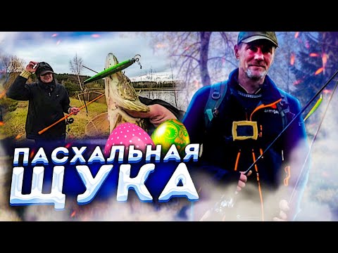 Видео: Пасхальная щука. Береговой кастинг. Тестирую новую катушку. Рыбалка в Беларуси.