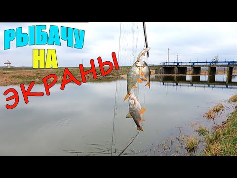 Видео: Нашел СЕКРЕТНОЕ место для рыбалки на реке и вот что поймал!