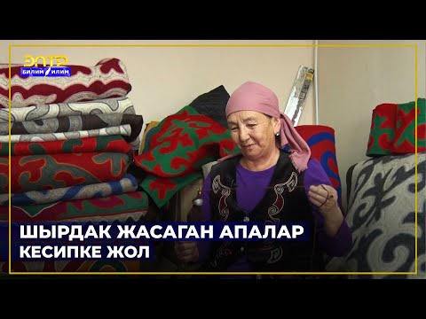 Видео: ШЫРДАК ЖАСАГАН АПАЛАР //Кесипке жол