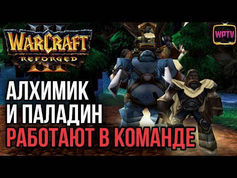 Видео: АЛХИМИК И ПАЛЫЧ РАБОТАЮТ В КОМАНДЕ: Warcraft 3 Reforged