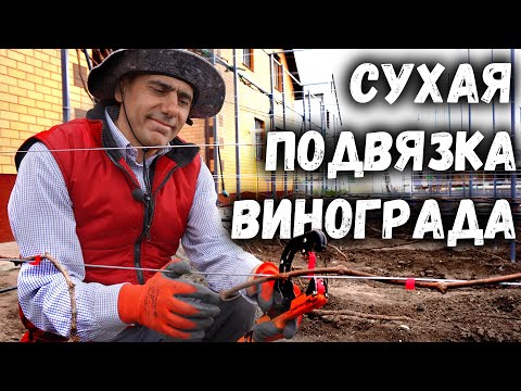 Видео: Сухая подвязка винограда.