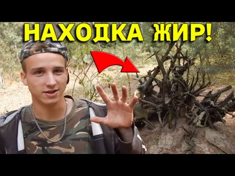 Видео: Сногсшибательная ДРЕВНЯЯ НАХОДКА во Рву под КОРНЯМИ, Увидев не ПОВЕРИЛ в УДАЧУ!!!